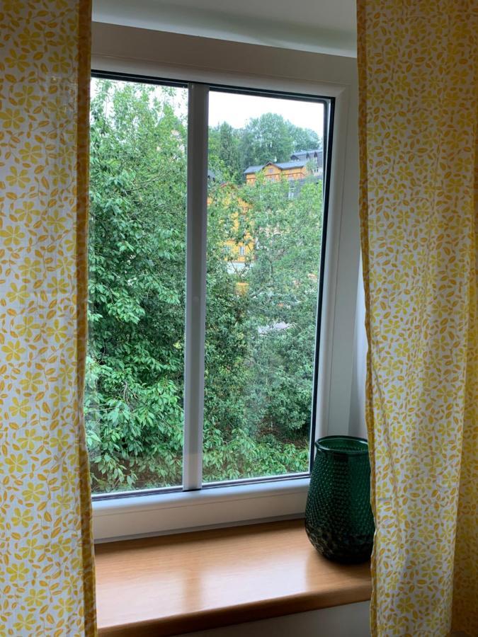 Penzion Zelene Udoli Janské Lázně Buitenkant foto