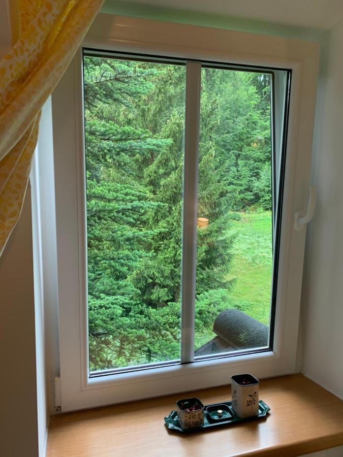 Penzion Zelene Udoli Janské Lázně Buitenkant foto